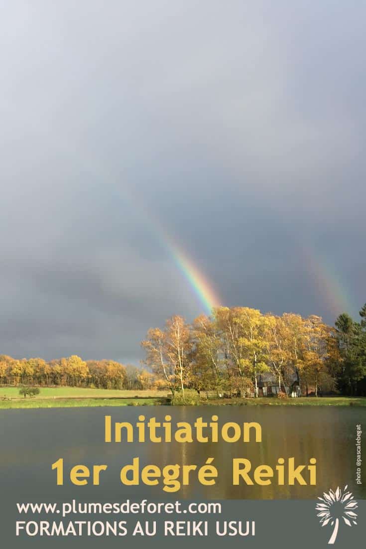 initiation 1er degré Reiki Usui