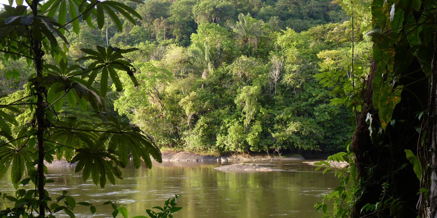 guyane francaise amazonie