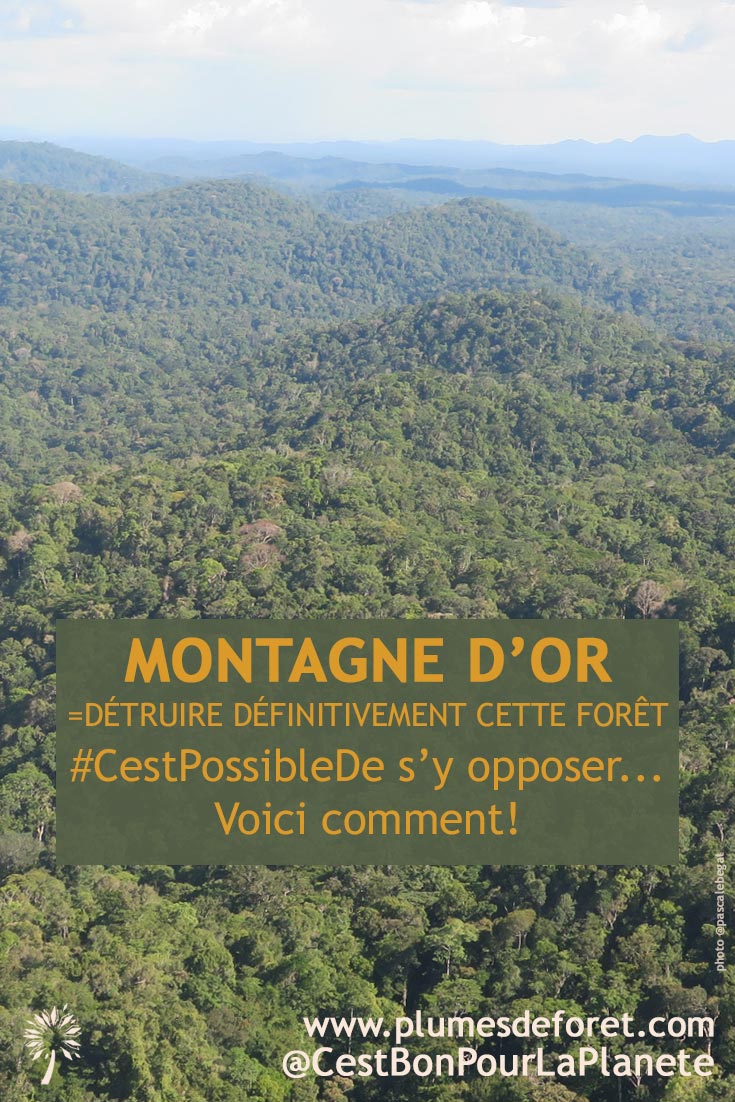 Montagne d'Or c'est non et or de question !