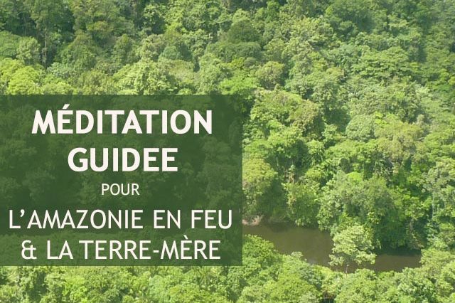 Méditation Amazonie en feu