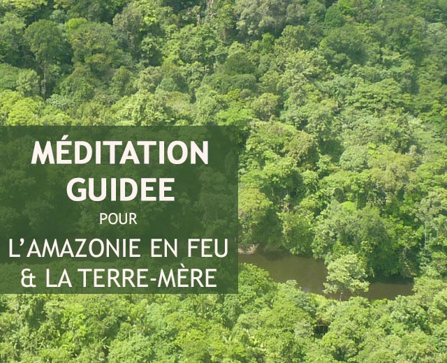 Méditation Amazonie en feu