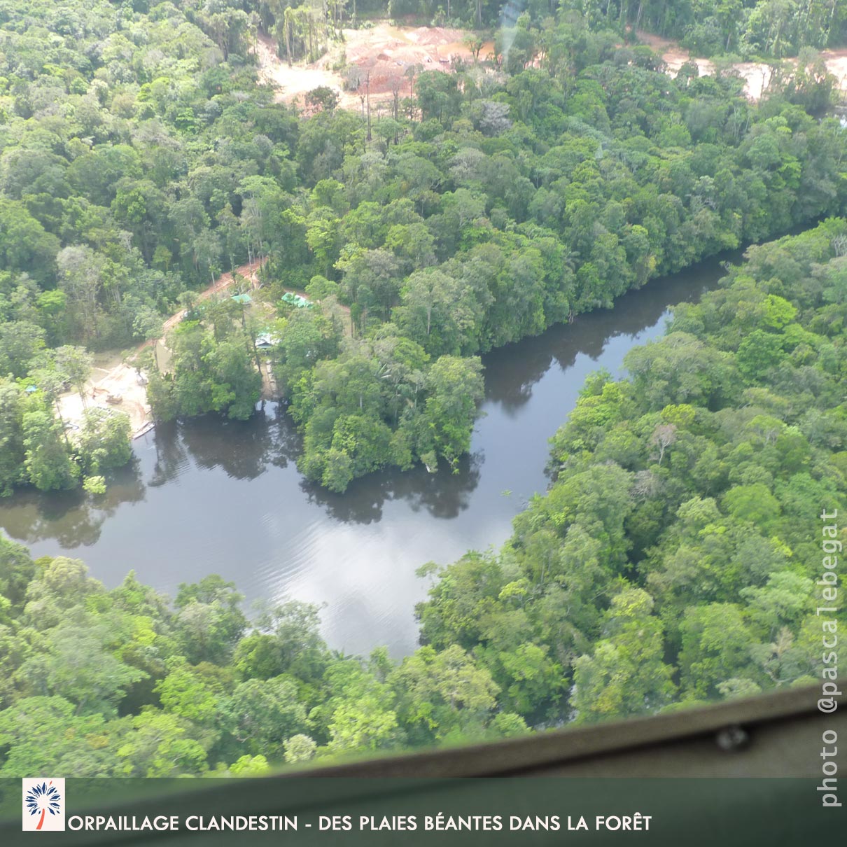 orpaillage forêt amazonienne