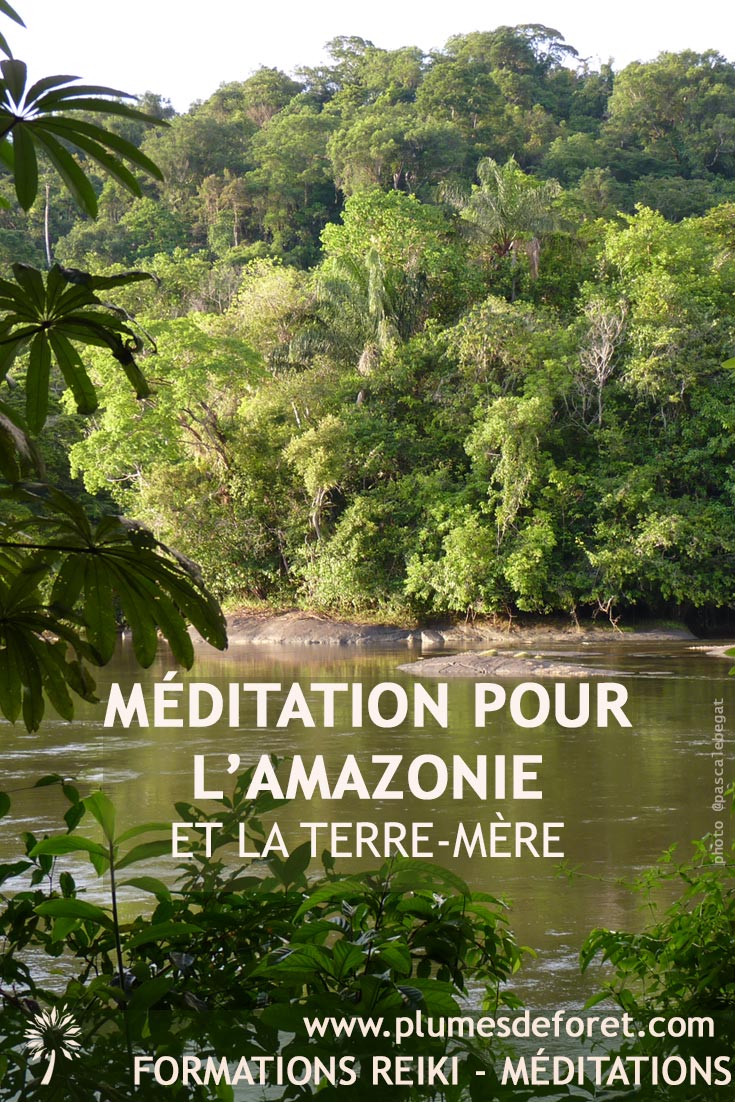 Méditation Amazonie Terre Mère