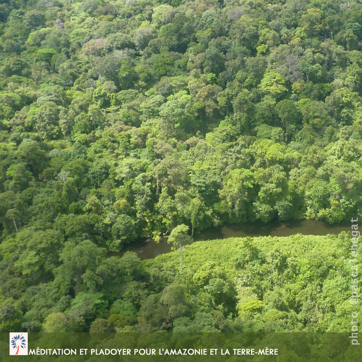 Comment méditer Amazonie feu