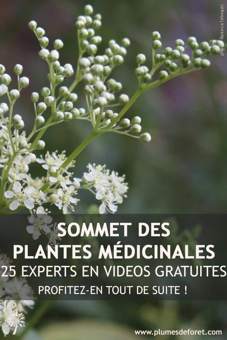 Experts des plantes médicinales