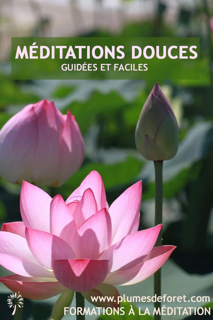 méditations guidées faciles