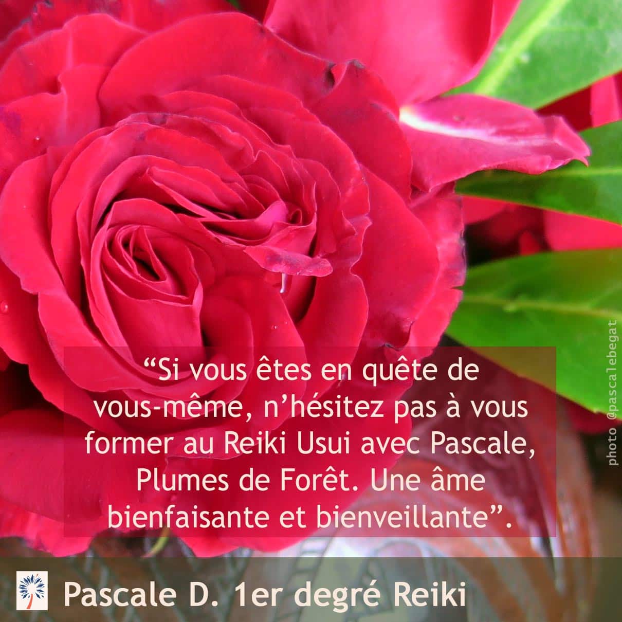 Bon cadeau reiki