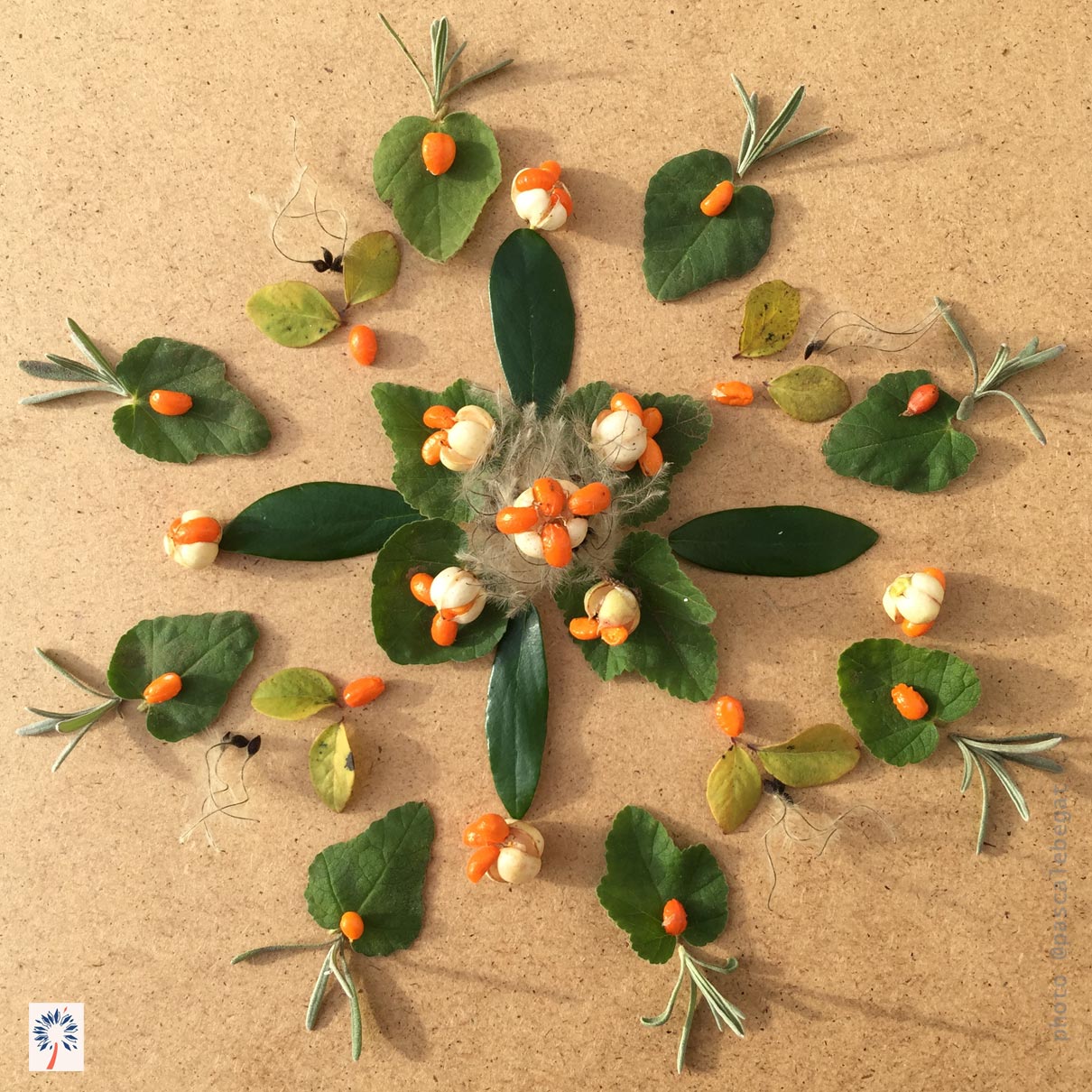 Comment méditer mandala