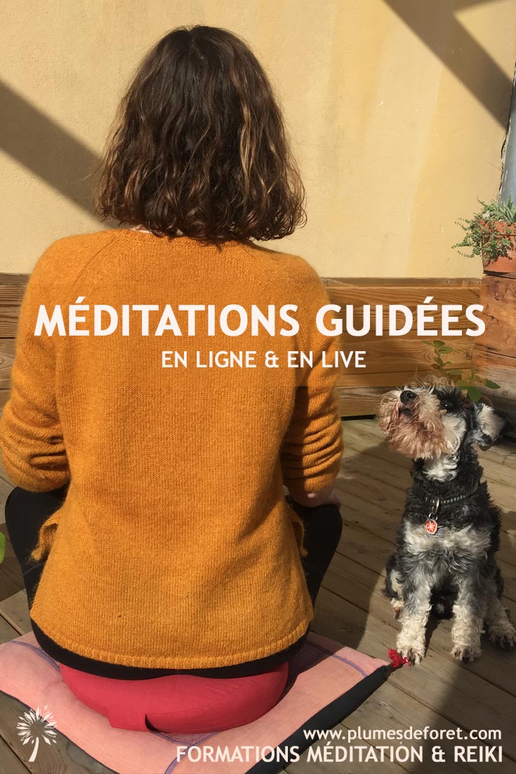 meditation ligne