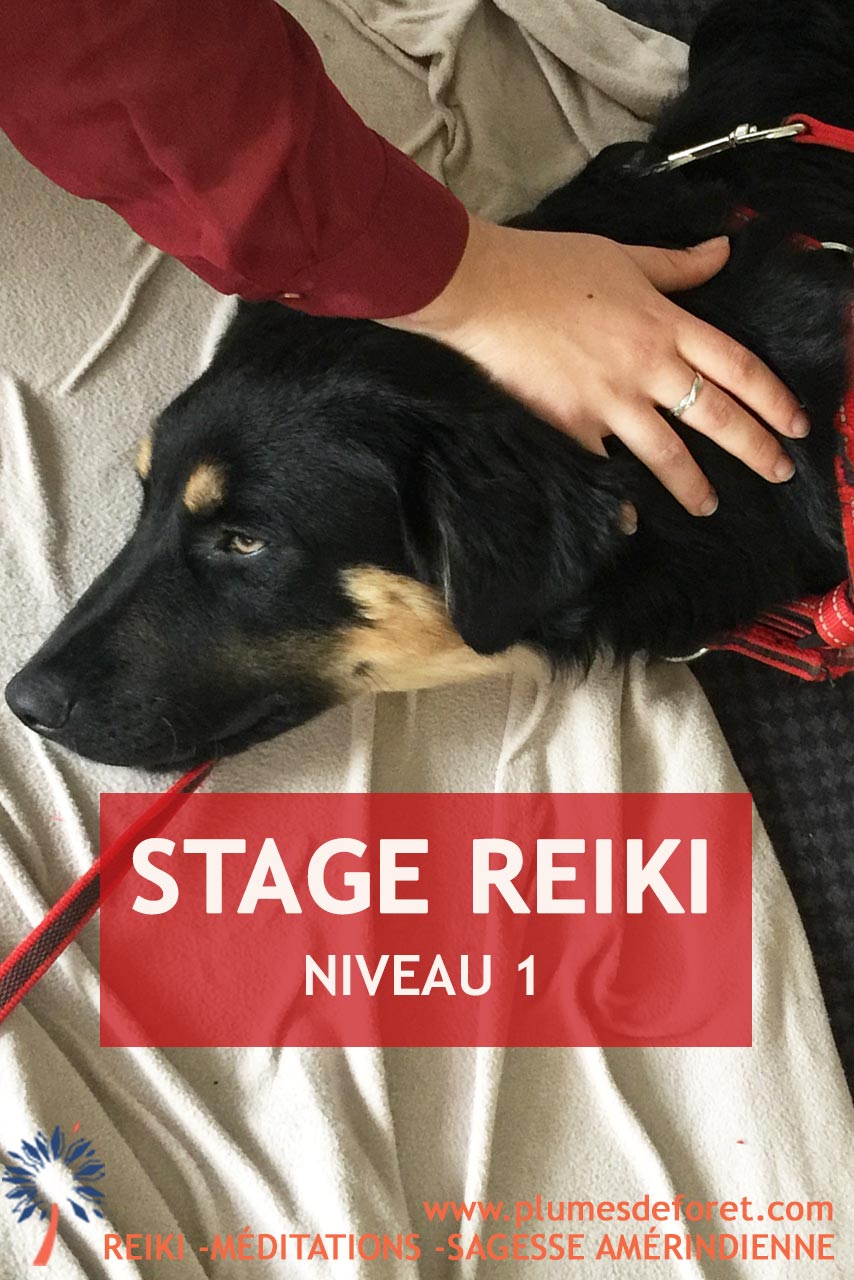reki-usui-niveau-1