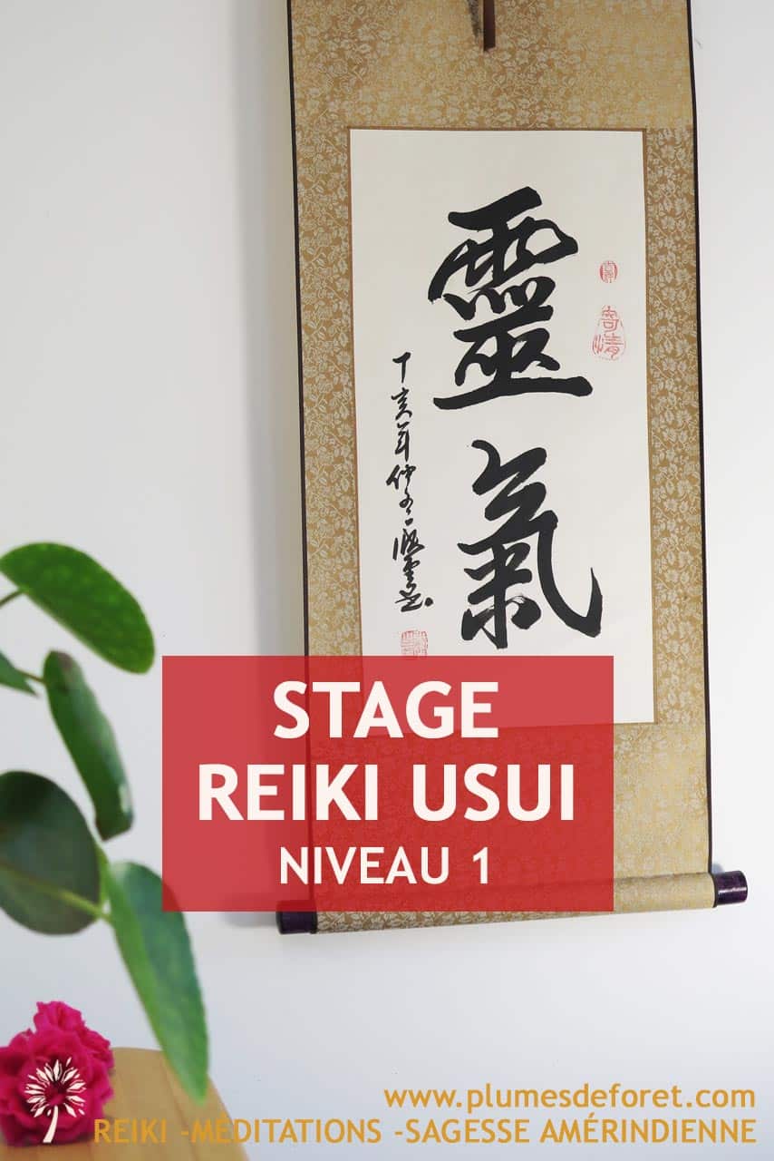 reiki-niveau-1