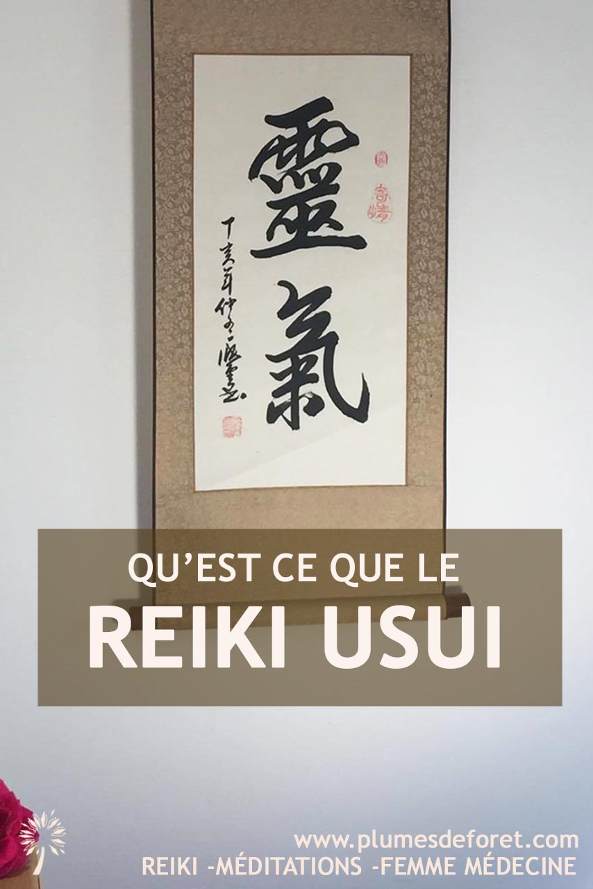 qu'est ce que le Reiki Usui