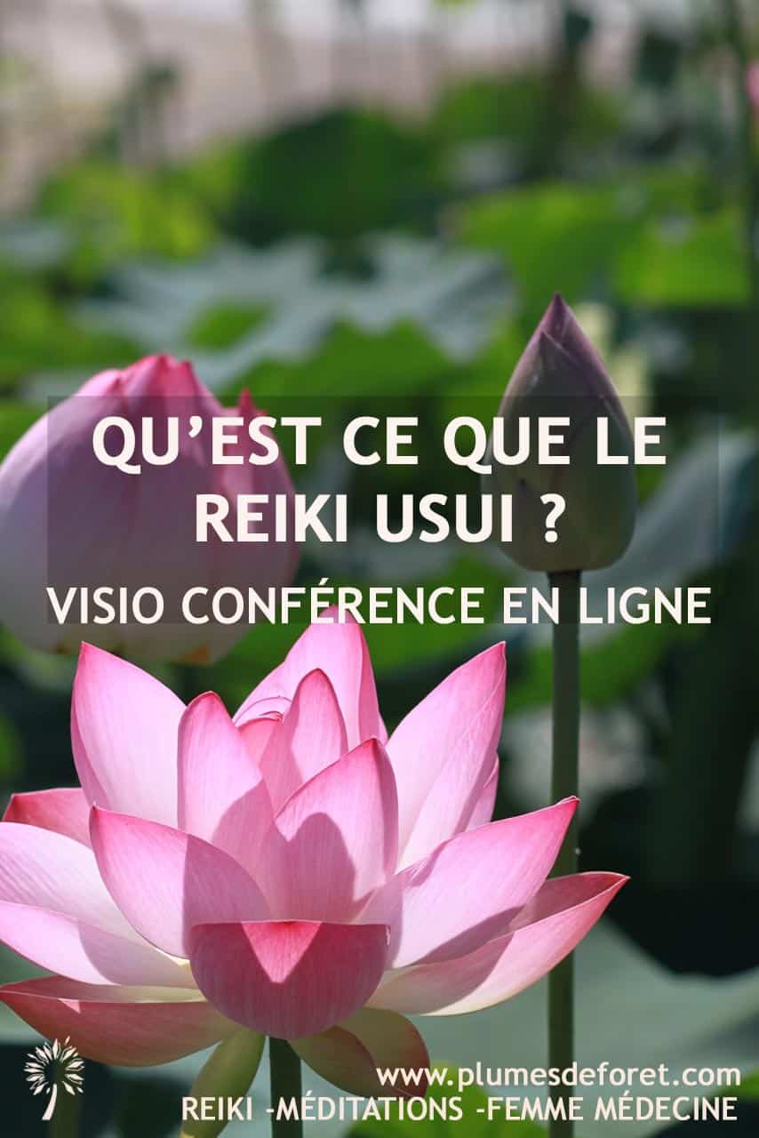 qu'est le Reiki Usui ?