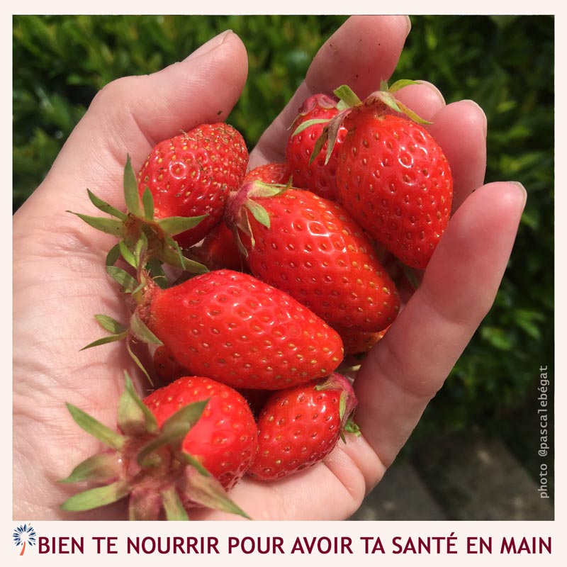alimentation-sante alimentation et santé