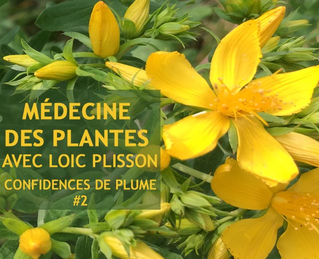 médecine des plantes