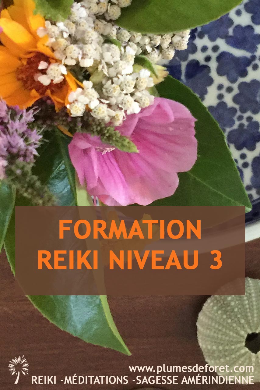 formation reiki usui 3