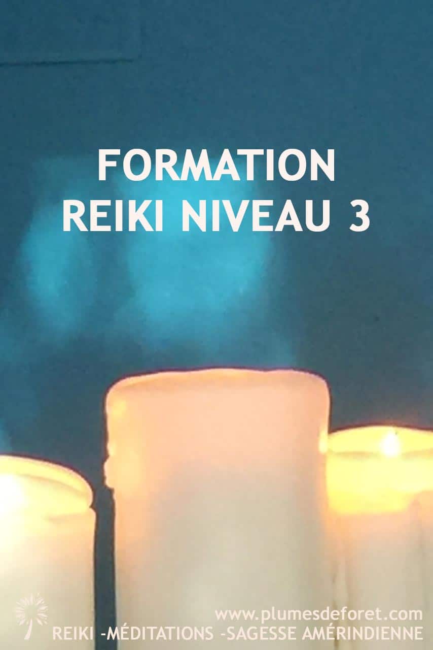 reiki niveau 3