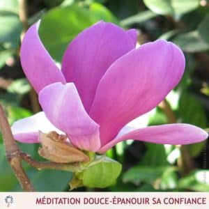 meditation guidee mp3
