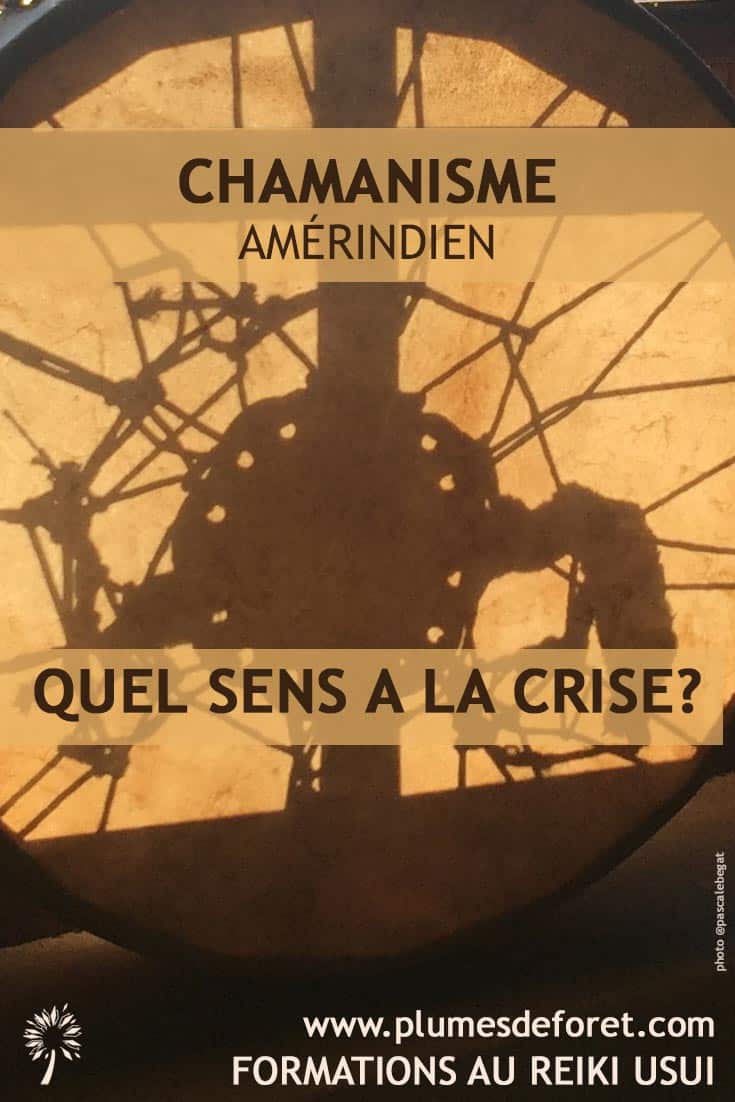 chamanisme amerindien et crise