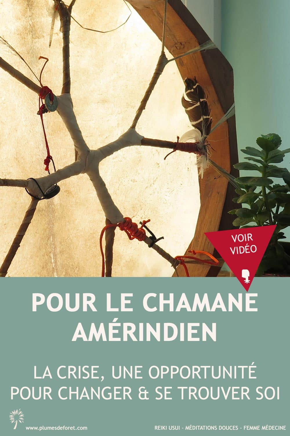 chamane amérindien et crise