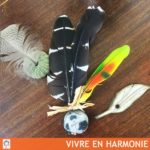 vivre harmonie