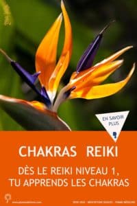 chakras -reiki