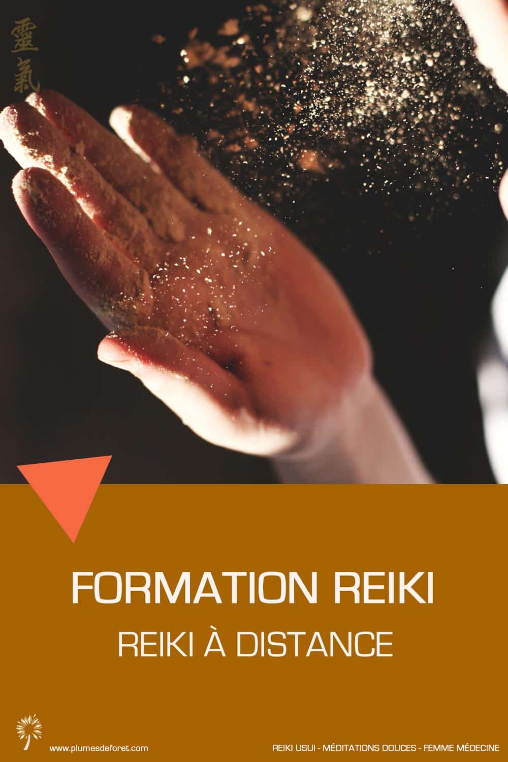 formation reiki à distance