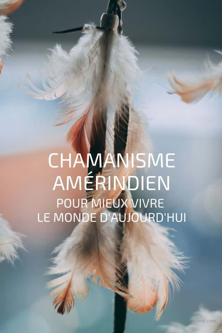 chamanisme amerindien sagesse chaman amerindien
