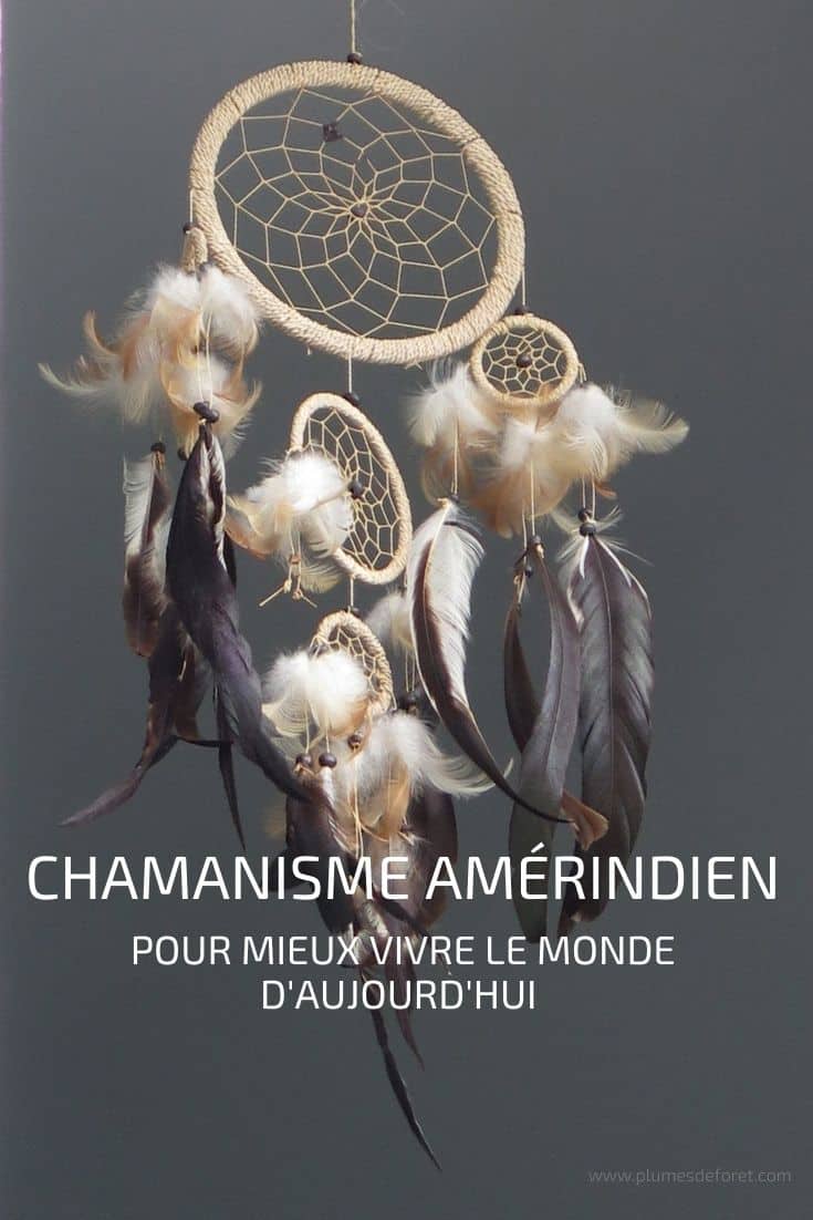 chamanisme amerindien chamanisme amerindien