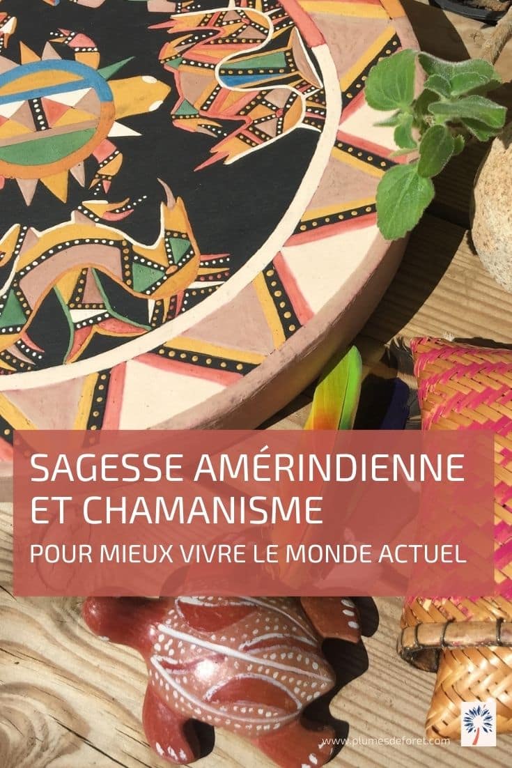 le-chamanisme le chamanisme