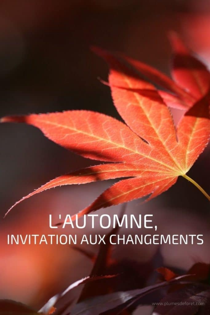 Automne, invitation au changements