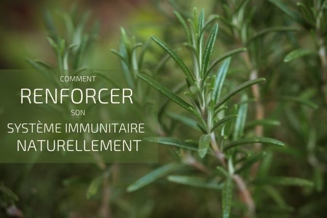 comment renforcer son système immunitaire naturellement