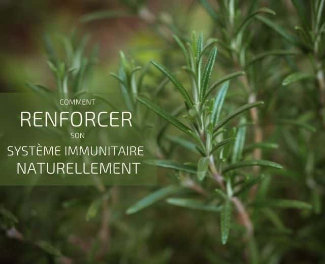 comment renforcer son système immunitaire naturellement