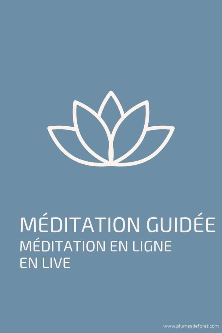 meditation guidee en ligne et en live