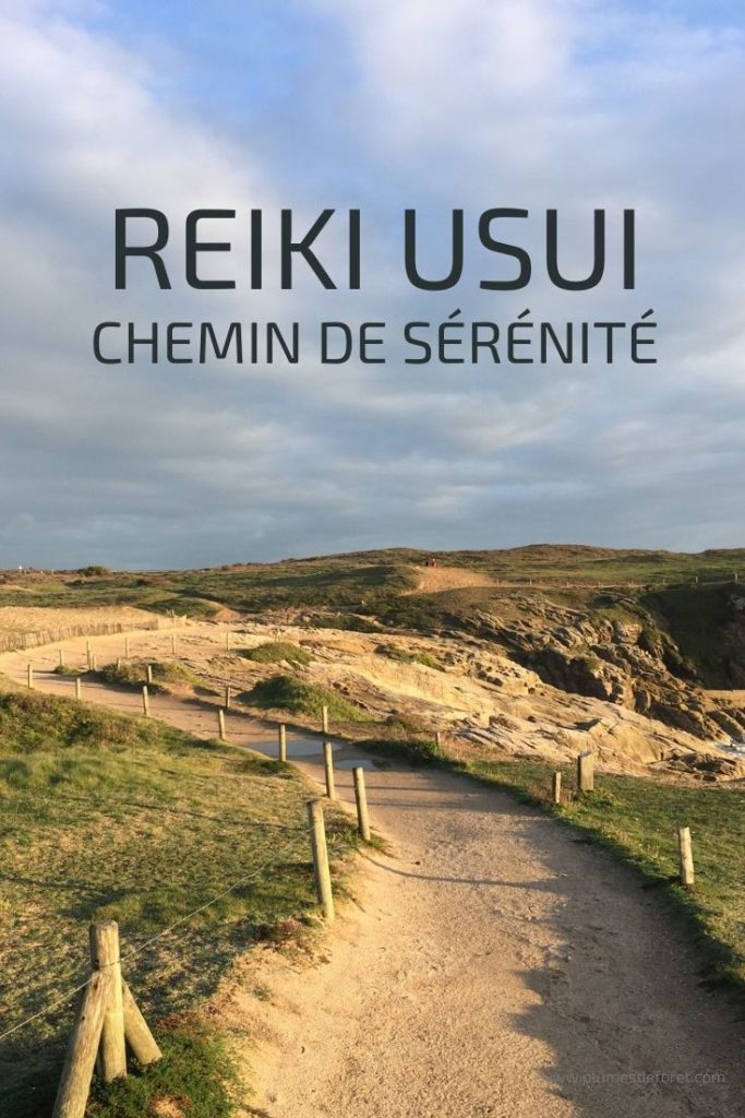 maitre enseignant Reiki