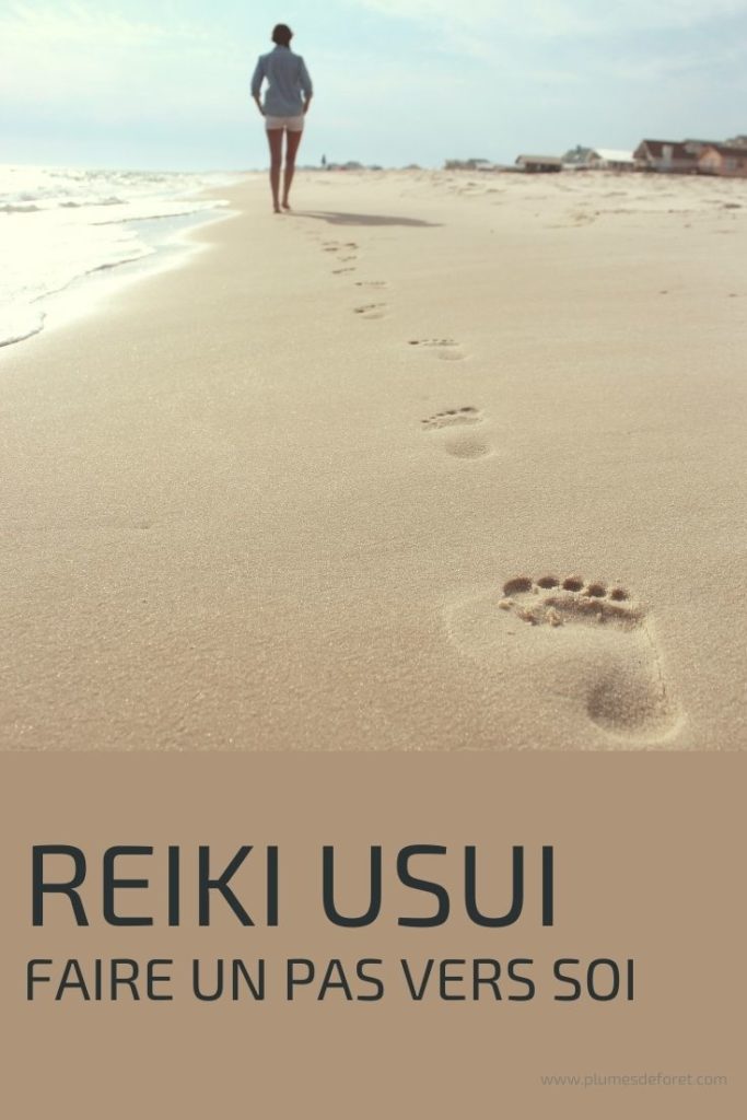 maitre reiki