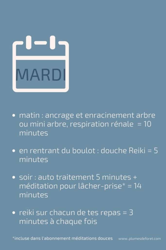 comment faire auto traitement Reiki Usui