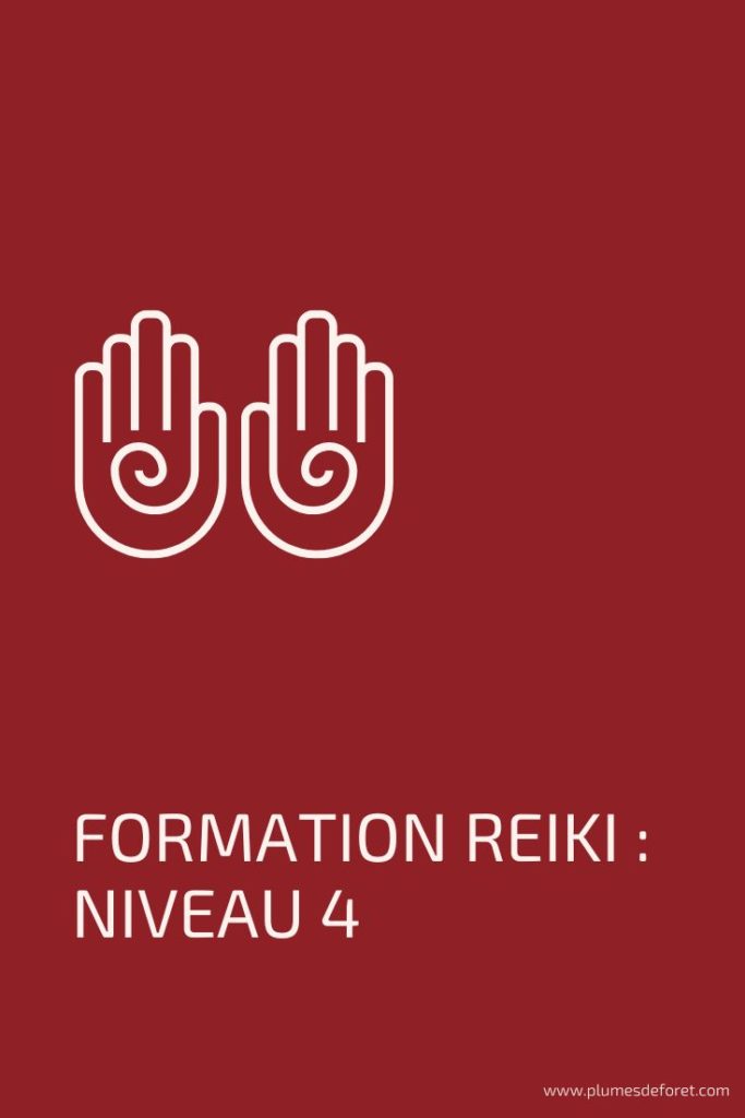 reiki formation niveau 4