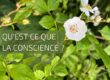 eveil des consciences