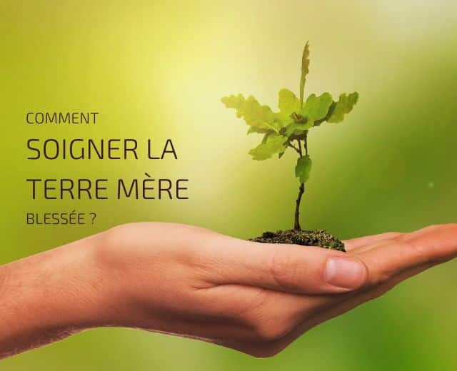 Comment soigner la terre mère ?