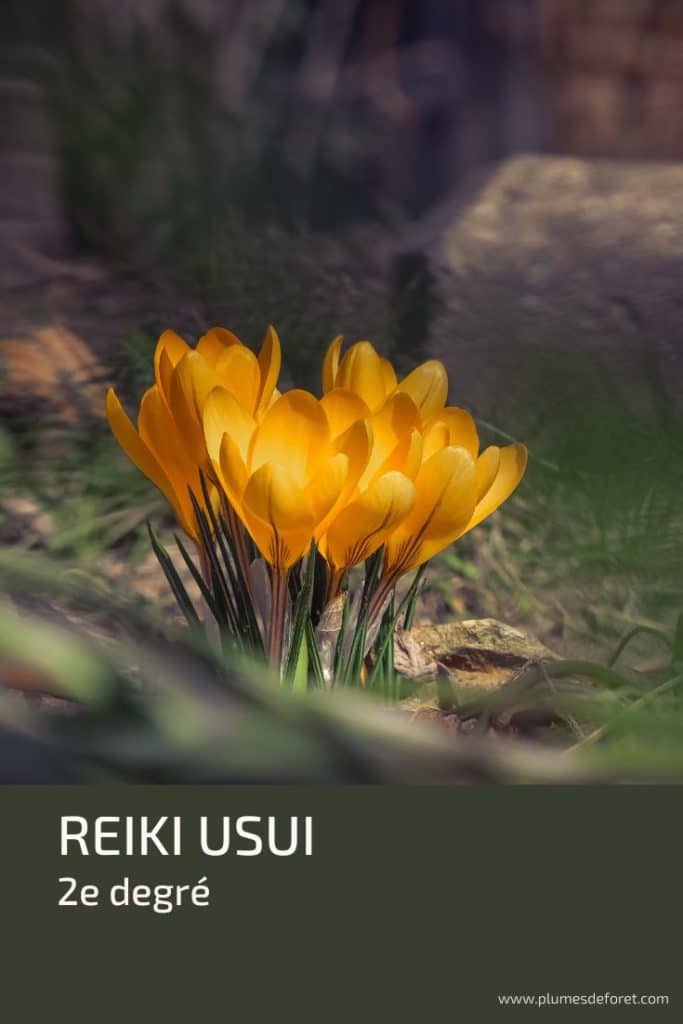 Reiki Usui 2e degré