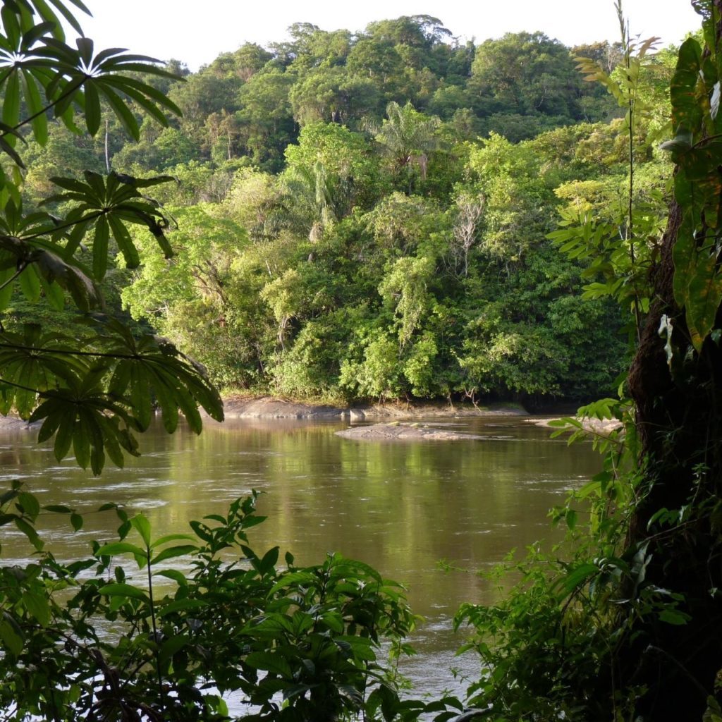 Saut Mapaou by Pascale Bégat