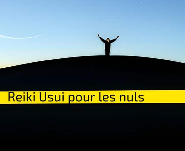 Le Reiki Usui pour les nuls... vraiment ?