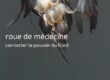 roue de médecine : le nord