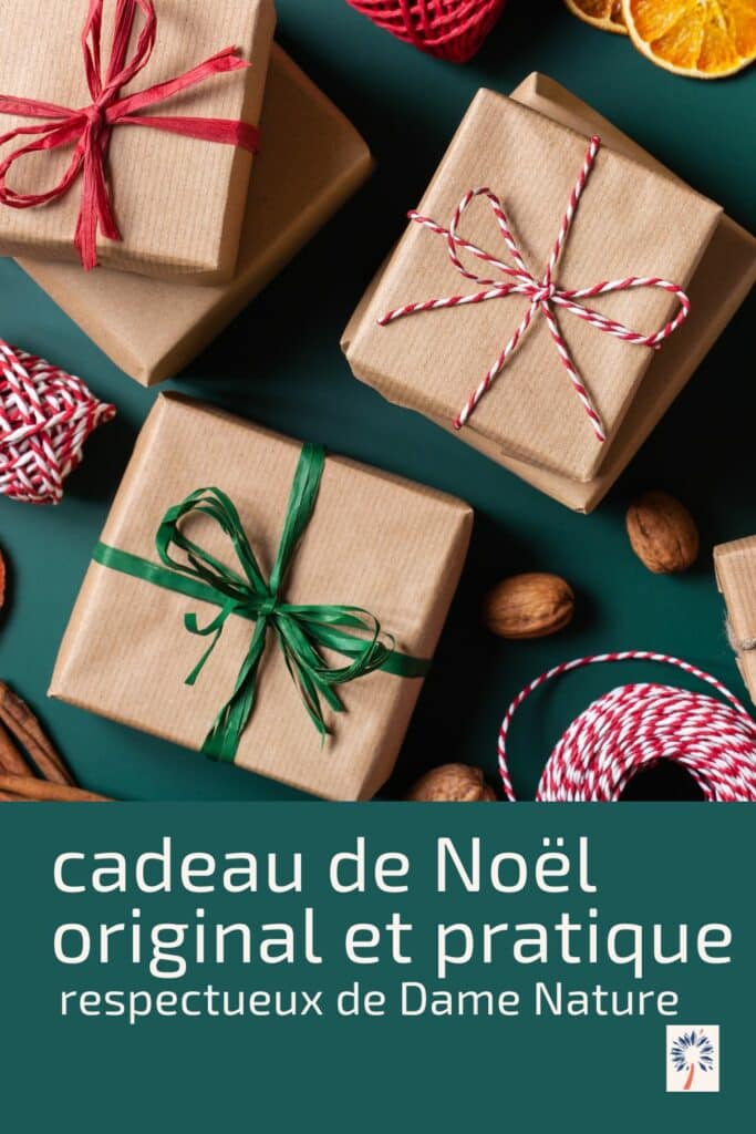 offrir un cadeau de noel différent