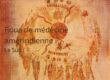 Roue de la médecine amérindienne