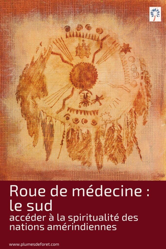 Roue de la médecine, le Sud