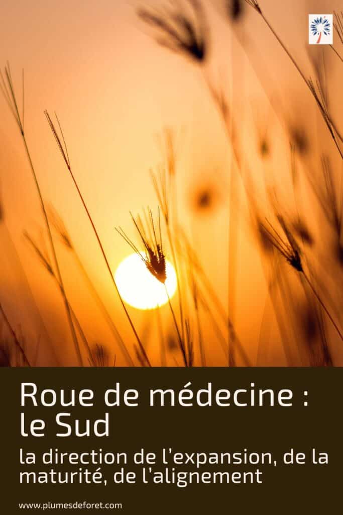 la roue de médecine : le sud