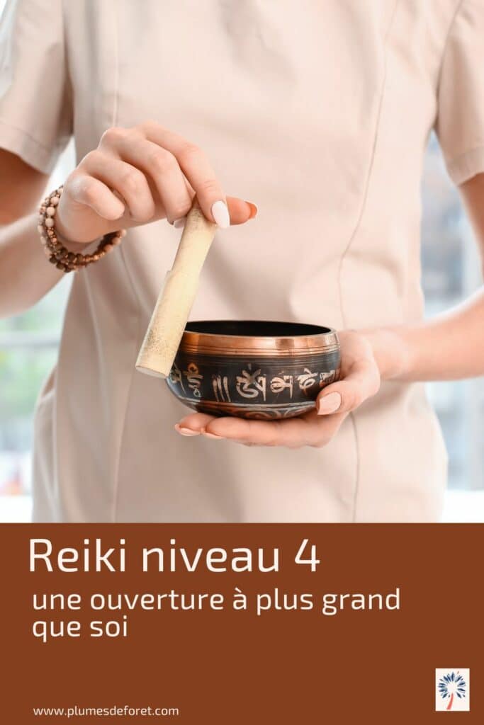 Reiki niveau 4